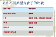 主蕴含哪些内容 营销方案怎样写 (主蕴涵项是什么)