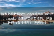 玩家必看教程!WePoKer德州发牌规律，aapoker原来确实是有挂的，详细教程（有挂细节）-哔哩哔哩