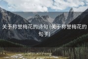 关于称誉梅花的诗句 (关于称誉梅花的句子)