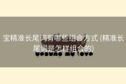 宝精准长尾词有哪些组合方式 (精准长尾词是怎样组合的)