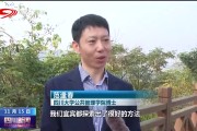 四川正轨网络推行代理商电话 (四川正则)