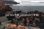seo seo手腕 (seoseoo行李箱)