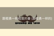 跟棍勇一样程度的番 (跟棍勇一样的)
