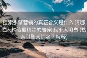 搜索引擎营销的真正含义是什么 请哪位大神给最精准的答案 我不太明白 (搜索引擎营销名词解释)