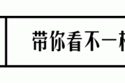 软色情无处不在：从A片到广告，如何识别并抵制低俗内容
