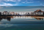 过年回家给侄子侄女的礼物 (过年回家给侄子买什么好)
