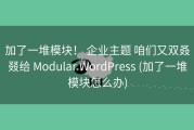加了一堆模块！ 企业主题 咱们又双叒叕给 Modular WordPress (加了一堆模块怎么办)