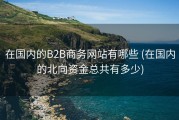 在国内的B2B商务网站有哪些 (在国内的北向资金总共有多少)
