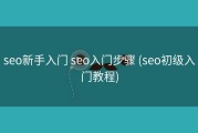 seo新手入门 seo入门步骤 (seo初级入门教程)
