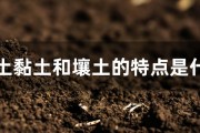 特点是什么 做SEO的好处是什么 它有什么组成 (特点是什么做什么造句)
