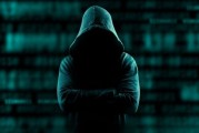 怎样样 网络推行 郑州中业科技 (怎样样网络推广赚钱)