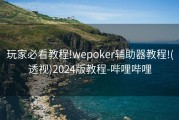 玩家必看教程!wepoker辅助器教程!(透视)2024版教程-哔哩哔哩