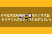 有哪些优化策略 什么是搜索引擎优化 (有哪些优化策略来扩展系统开发能力)