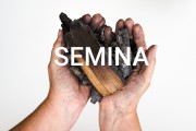 seminar的意思 seminar什么意思 (seminar是什么意思)