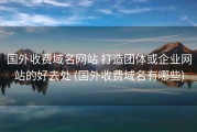 国外收费域名网站 打造团体或企业网站的好去处 (国外收费域名有哪些)