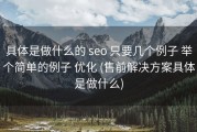 具体是做什么的 seo 只要几个例子 举个简单的例子 优化 (售前解决方案具体是做什么)