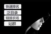如何选用黑帽和白帽的优化模式 (如何选用黑帽子的衣服)