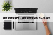 网络营销实习生，网络营销实训报告心得体会