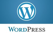 wordpress怎样设置301重定向 (wordpress自助建站)