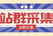 站群采集与 SEO 优化：站群的核心要点及操作方法