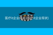 医疗it企业排名 (医疗it企业现状)