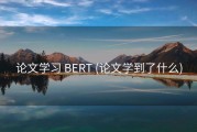 论文学习 BERT (论文学到了什么)
