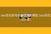seo优化的内容关键包含哪些 (seo的优化步骤)