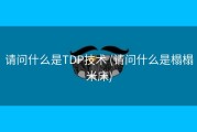 请问什么是TDP技术 (请问什么是榻榻米床)