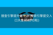 搜查引擎提升是什么 (搜索引擎提交入口大全(亲测可用))