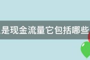 现金流量的剖析包含 (现金流量的内容)