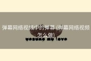弹幕网络视频中的弹幕 (弹幕网络视频怎么做)