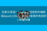 玩家分享挂！wepoker透视软件辅助挂&quot;(2024一起探讨是真的有挂的)-哔哩哔哩