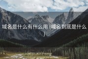 域名是什么有什么用 (域名到底是什么)