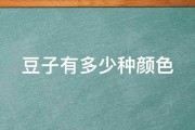 有多少种见地 什么是SEO