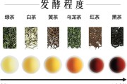 罕用的搜查引擎命令 (搜查的解释)