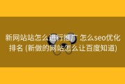新网站站怎么进行推广 怎么seo优化排名 (新做的网站怎么让百度知道)