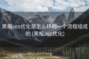 黑帽seo优化是怎么样的一个流程组成的 (黑帽aso优化)