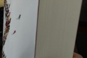 SEO 的书? 有什么比拟好学习 (seo的书籍)