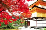 日本全新视角游，建行钜惠满万减千，10 月 2 日出发