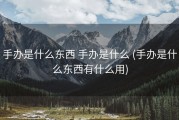 手办是什么东西 手办是什么 (手办是什么东西有什么用)