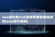 seo提升的六大步骤有哪些都知道吗 (seo提升营销)