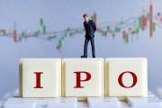 中国IPO生长之路 中国新股发行制度变迁钻研作者简介 (中国 ipo)