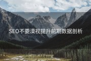 SEO不要漠视提升前期数据剖析