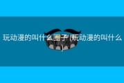 玩动漫的叫什么圈子 (玩动漫的叫什么)