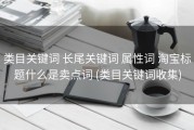 类目关键词 长尾关键词 属性词 淘宝标题什么是卖点词 (类目关键词收集)