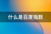什么是百度算法 (什么叫做百度)