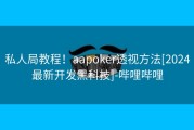 私人局教程！aapoker透视方法[2024最新开发黑科技]-哔哩哔哩