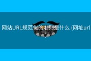 网站URL规范化的准则是什么 (网址url)