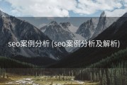 seo案例分析 (seo案例分析及解析)