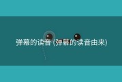弹幕的读音 (弹幕的读音由来)